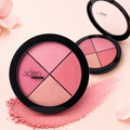 aden Face Palette