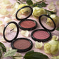 Powder Mono Blush